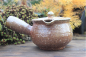 Preview: Teapot with Spout - left-hand model