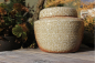 Preview: Dose Holzbrandmasse 4424