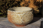 Preview: Facetted Chawan Wood Fire
