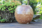 Preview: Kleine Dose 7157