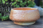 Preview: Snack-Schale 7377