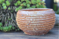 Preview: Beistellschale 7432