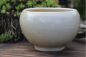 Preview: Kleine Schale 7576