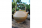 Preview: Teapot with Handle 7605