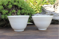 Preview: Tea Cup Seladon 1007
