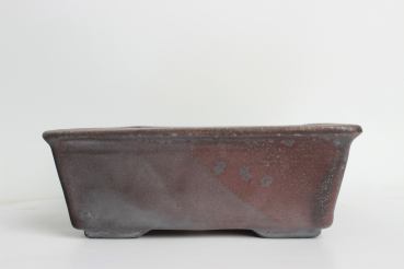 Bonsai Pot 4156