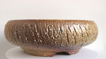 Bonsai Pot 3032