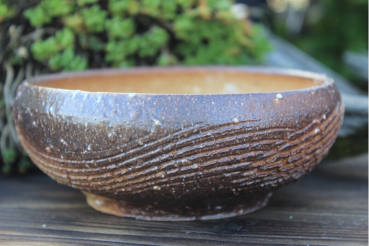 Accent Plant Pot 7493