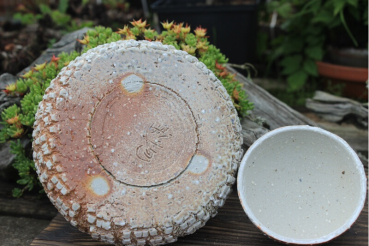 Woodfired Container 7616