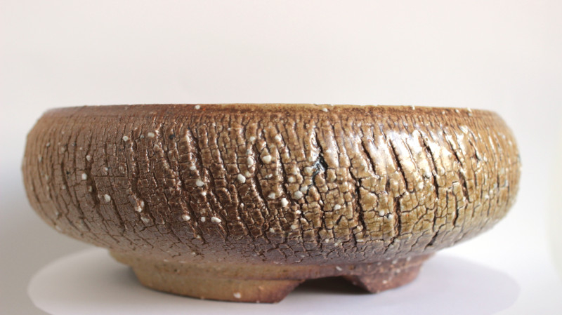 Bonsai Pot 3032