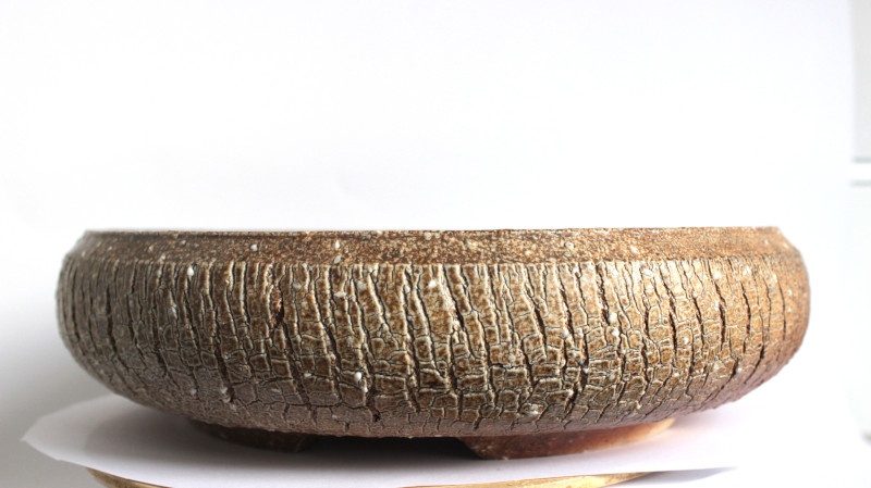Bonsai Pot 3053