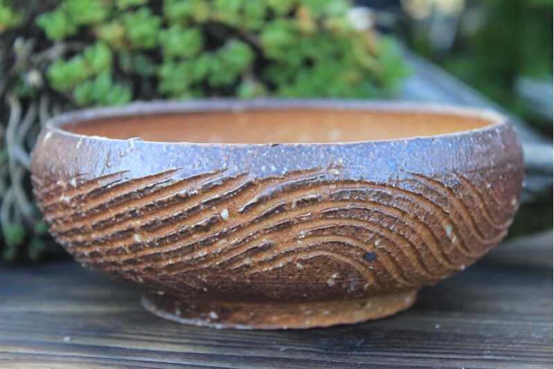 Accent Plant Pot 7493