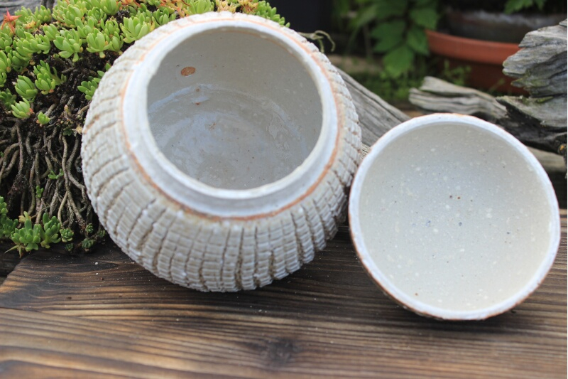 Dose Holzbrandmasse 7579